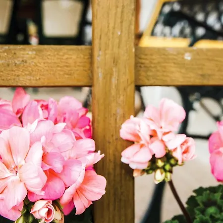 Pod Czapla * بارشيفو